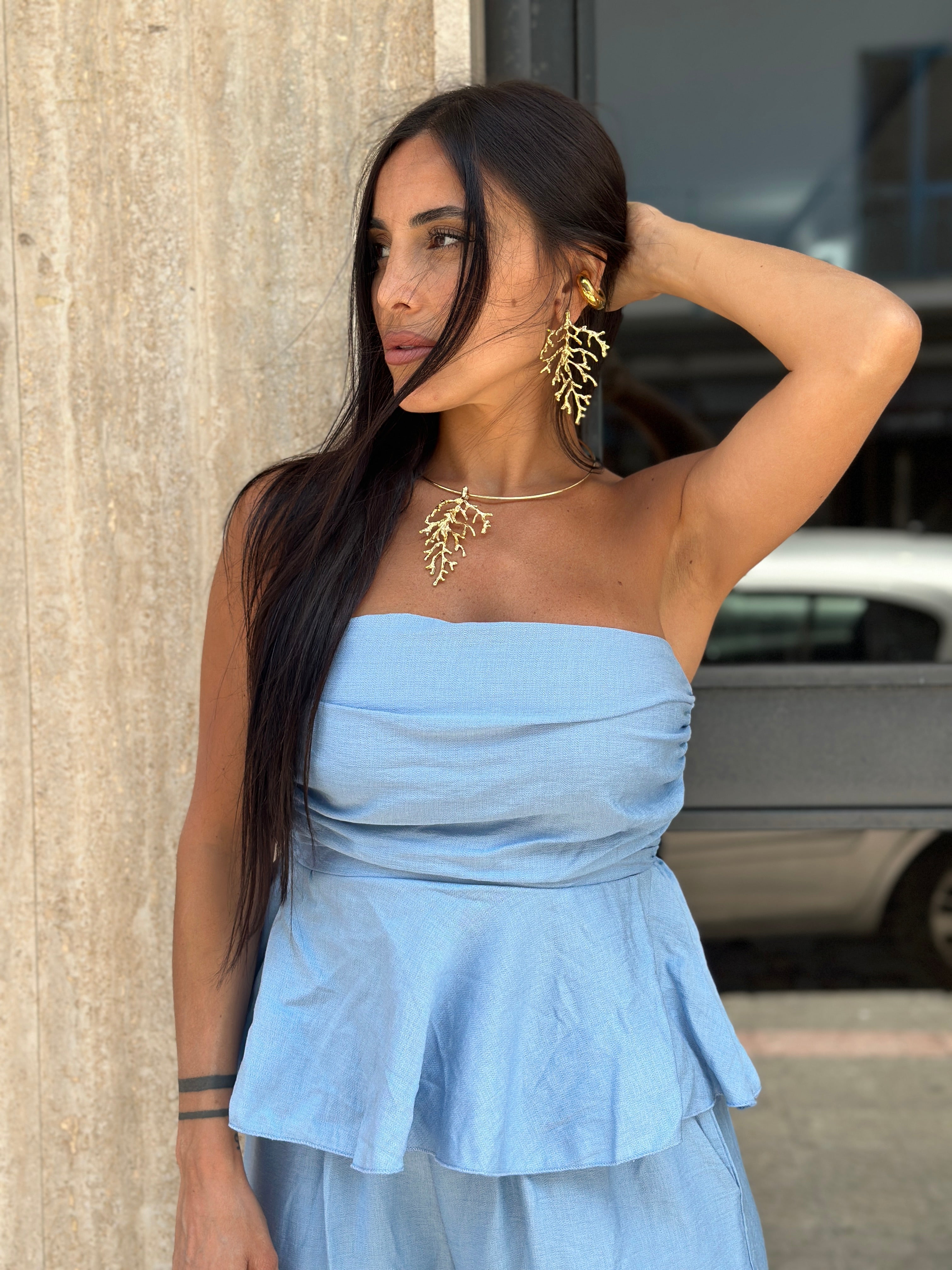 Coordinato Dana